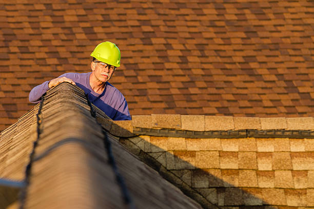 Professional Roofing Contractor in Meridian, ID